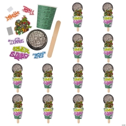 TMNT Sewer Squad Pop-Up Craft Kit-12Pk